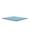 Thermal Grizzly Minus Pad Pro - 100x100x2.0mm - nr 8