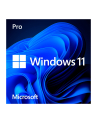 Microsoft Windows 11 Pro, operating system software 64-bit, German, USB stick - nr 3