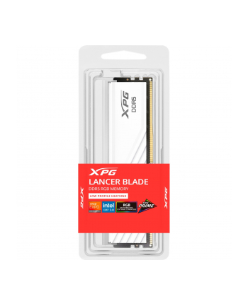 ADATA DDR5 - 8GB - 5600 - CL - 46 (1x 8 GB), single RAM (BIAŁY, AX5U5600C468G-SLABRWH, XPG Lancer Blade RGB, INTEL XMP, AMD EXPO) nr 1