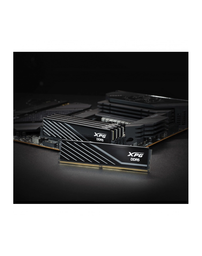 ADATA DDR5 - 16GB - 6000 - CL - 36, single (black, AX5U6000C3616G-SLABBK, XPG Lancer Blade, INTEL XMP, AMD EXPO) główny