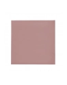 Thermal Grizzly Minus Pad 8 - 100x 100x 0.5 mm, thermal pads pink, 2 pieces - nr 16