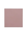 Thermal Grizzly Minus Pad 8 - 100x 100x 0.5 mm, thermal pads pink, 2 pieces - nr 29