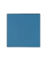 Thermal Grizzly Minus Pad Advance - 100x100x1.0 mm, thermal pads (pack of 2) - nr 24