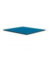 Thermal Grizzly Minus Pad Advance - 100x100x2.0 mm, thermal pads pack of 2 - nr 5