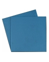 Thermal Grizzly Minus Pad Basic - 100x100x1.5 mm, thermal pads (pack of 2) - nr 18