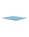 Thermal Grizzly Minus Pad Pro - 100x100x1.0mm - nr 17