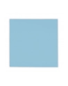 Thermal Grizzly Minus Pad Pro - 100x100x1.0mm - nr 21