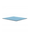 Thermal Grizzly Minus Pad Pro - 100x100x1.0mm - nr 22