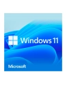 Microsoft Windows 11 Home, operating system software 64-bit, German, USB stick - nr 2
