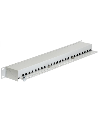 DeLOCK 19 patch panel 24 port Cat.6 (grey, 1 U)