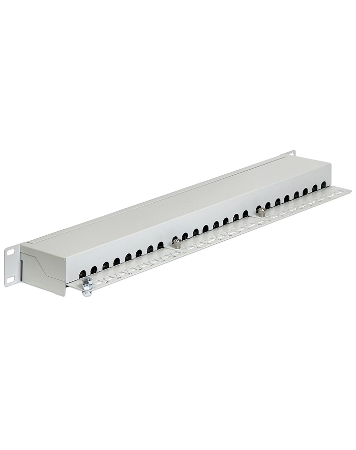DeLOCK 19  patch panel 24 port Cat.6 (grey, 1 U) główny