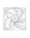 Silverstone Shark Force 140 ARGB (SST-SF140W-ARGB) - nr 11