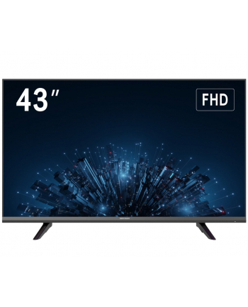 Monitor Hikvision 43'' DS-D5043F3-1V0S FHD (24/7) nr 2