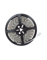Taśma LED-5050 Abilite RGB 150LED 12V IP65 5m/10mm silikon - nr 1