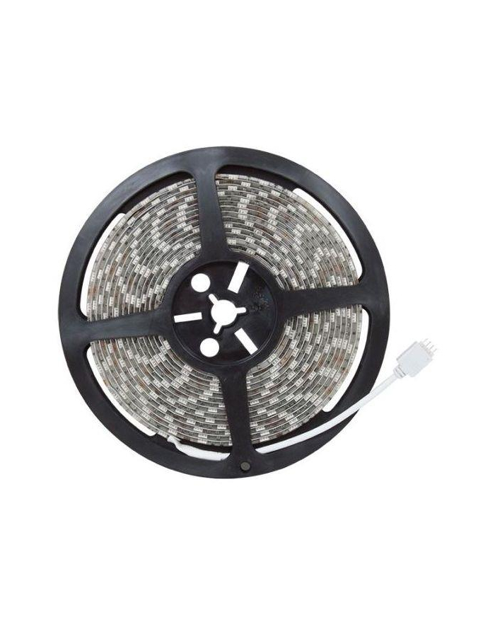 Taśma LED-5050 Abilite RGB 150LED 12V IP65 5m/10mm silikon główny