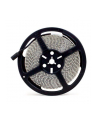 Taśma LED-2835 Abilite b.zimna 600LED 12V 48W IP65 5m/8mm silikon - nr 1