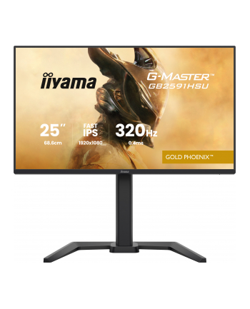 iiyama Monitor 25 '' GB2591HSU-B1 0.4ms, DP, 2xHDMI 2.1, 320Hz, Fast IPS, USB HUB x4 nr 1