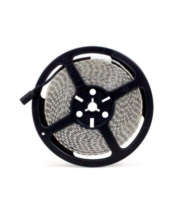 Taśma LED-2835 Abilite b.zimna 600LED 12V 48W IP65 5m/8mm silikon