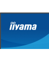 iiyama Monitor 27 '' X2793QSU-B1 IPS, QHD, HDMI, DP, 2xUSB - nr 2