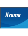 iiyama Monitor 27 '' XB2793QSU-B1 IPS, QHD, HDMI, DP, 2xUSB - nr 68