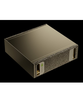 Pny Technologies PNY NVIDIA DGX Spark GB10 128GB EUcable (DGXSPARKFOUNEDITEU)