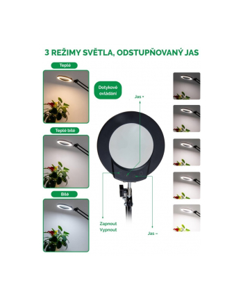 Immax Lampa Stołowa Zoom (1678110)