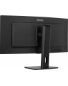 iiyama Monitor 34 cale XCB3497WQSNP-B1 + Norton Small Business card 250G PL - nr 15