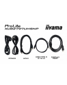 iiyama Monitor 27 '' XUB2797UHSNP-B1 + Norton Small Business card 250G PL - nr 13