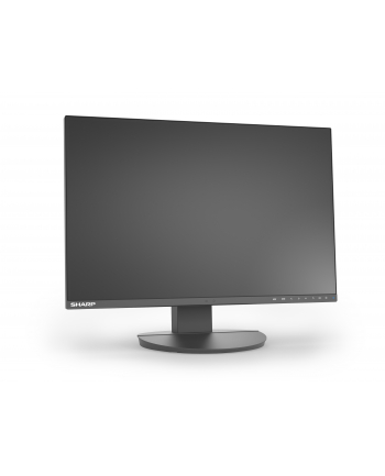 sharp Monitor biznesowy MultiSync DD-EA241W 24 cale Czarny
