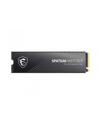 msi Dysk SSD SPATIUM M571 DLP 4TB M.2 PCIe 5.0 14500/11000
