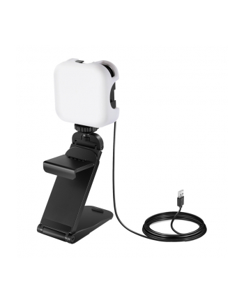 Neewer PL81 PRO Światło do studia nr 1