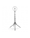 Hama SpotLight Steady 120 III LED-Ringleuchte f. Smartphone - nr 1