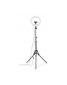 Hama SpotLight Steady 120 III LED-Ringleuchte f. Smartphone - nr 32