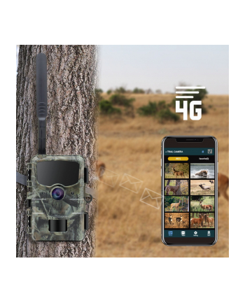 Stealth Gear Hedgehog 1080p 4G Wildkamera