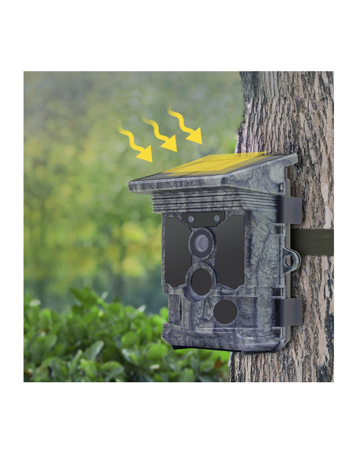 Stealth Gear Fox 4K Wifi Wildkamera główny