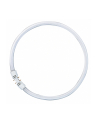 Osram Circular Fluorescent Lamp T5 FC55W 865 2GX13 - nr 1
