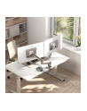 Alogic Flux Dual Flexible Monitor Arms for Two 17-35 - nr 3