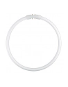 Osram Circular Fluorescent Lamp T5 FC22W 840 2GX13 - nr 1
