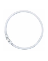 Osram Circular Fluorescent Lamp T5 FC40W 830 2GX13 - nr 1