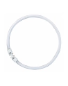 Osram Circular Fluorescent Lamp T5 FC55W 865 2GX13 - nr 1