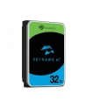 SEAGATE Video Optimized Skyhawk AI 32TB HDD SATA 6Gb/s 512MB cache 3.5inch CMR Helium - nr 2
