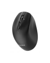 GEMBIRD Mysz bezprzewodowa Dual-Mode 2.4G + BT 6 przycisków kolor czarny - nr 14