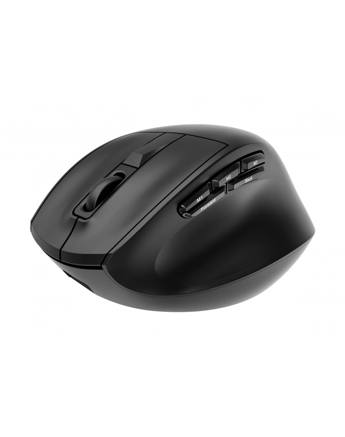 GEMBIRD Bezprzewodowa ergonomiczna mysz tri mode 2.4G + BT + USB 2400DPI 9 przycisków czarna główny