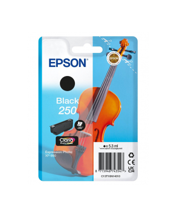 EPSON Singlepack Black 250 ink nr 1