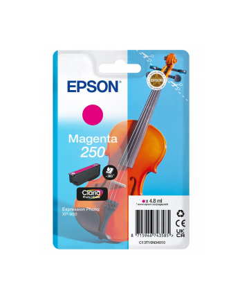 EPSON Singlepack Magenta 250 ink nr 1