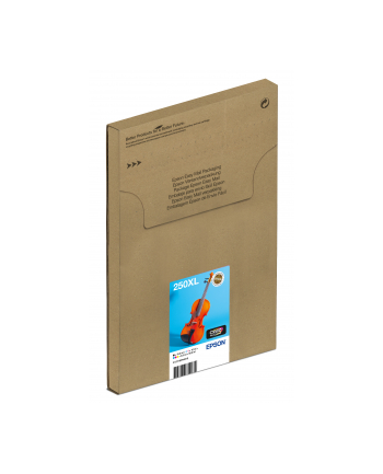 EPSON Multipack 6-colours 250XL Ink Easymail