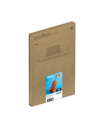 EPSON Multipack 6-colours 250XL Ink Easymail