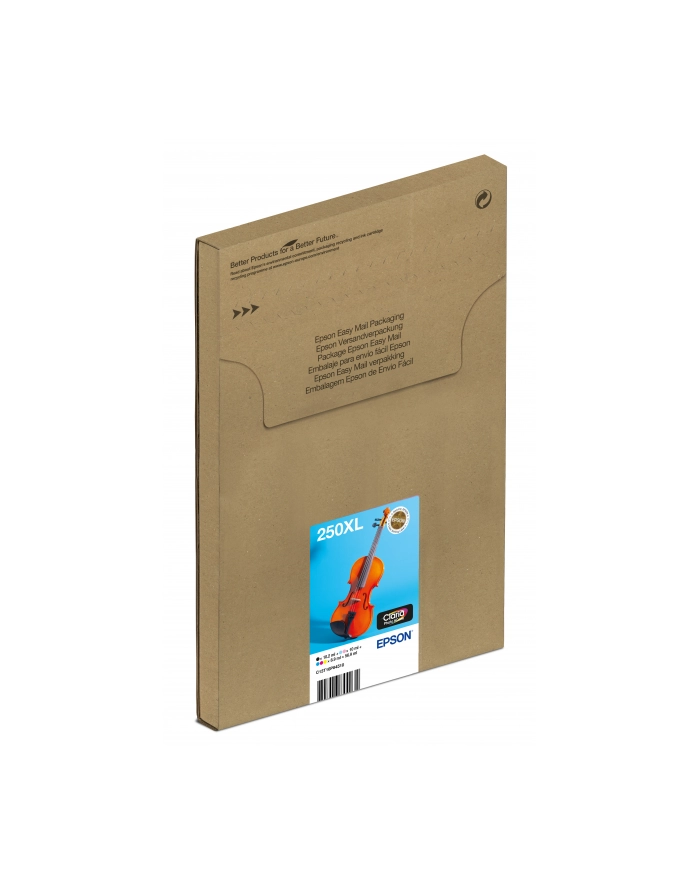 EPSON Multipack 6-colours 250XL Ink Easymail główny