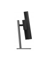 LENOVO ThinkVision P40WD-40 39.7inch IPS 5120x2160 21:9 400cd/m2 HDMI DP USB TopSeller - nr 33
