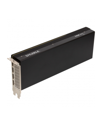 Karta graf SPARKLE Intel Arc PRO B60 PASSIVE 24GB nr 1